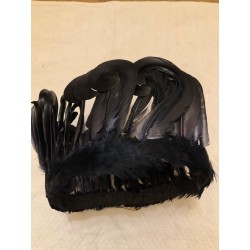 Plumes anciennes